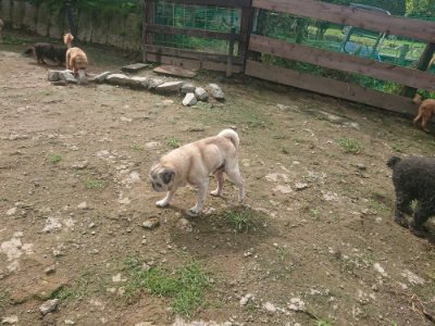 f:id:roukenhome-ann:20190728171214j:plain f:id:roukenhome-ann:20190728171214j:plain