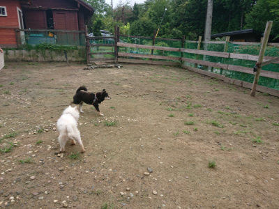 f:id:roukenhome-ann:20190728171240j:plain f:id:roukenhome-ann:20190728171240j:plain