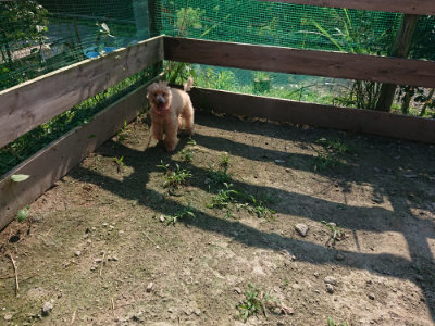 f:id:roukenhome-ann:20190730134640j:plain