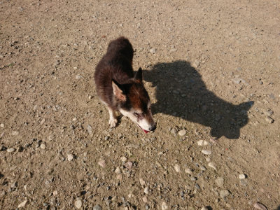 f:id:roukenhome-ann:20190730134659j:plain