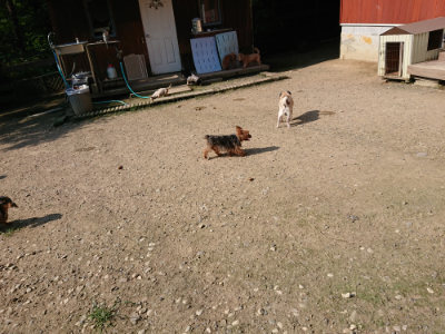 f:id:roukenhome-ann:20190730134717j:plain