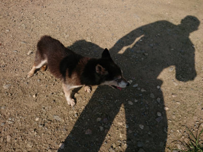 f:id:roukenhome-ann:20190730134738j:plain