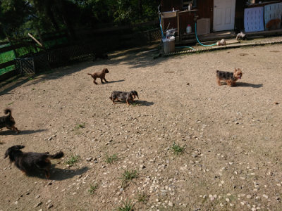 f:id:roukenhome-ann:20190730134754j:plain