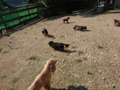 f:id:roukenhome-ann:20190730134821j:plain