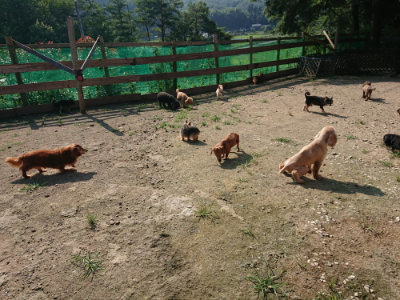 f:id:roukenhome-ann:20190730134907j:plain