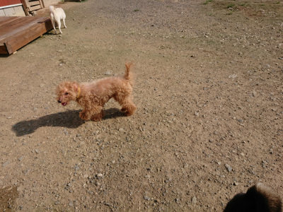 f:id:roukenhome-ann:20190730134935j:plain