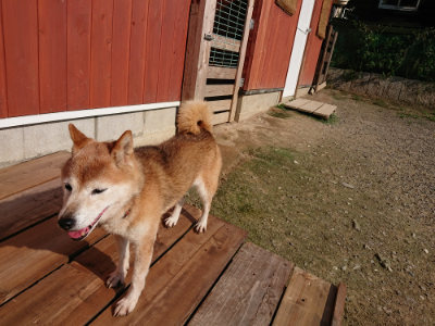 f:id:roukenhome-ann:20190730135010j:plain