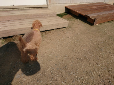 f:id:roukenhome-ann:20190730135031j:plain
