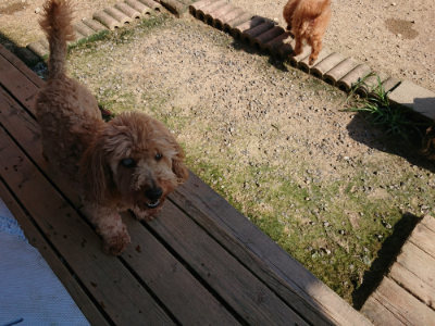 f:id:roukenhome-ann:20190730135108j:plain