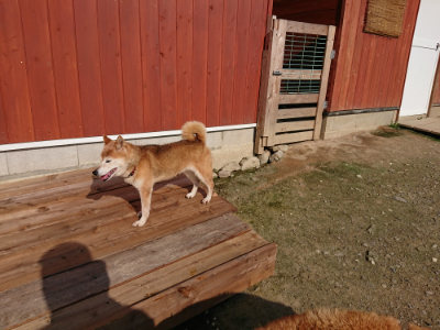 f:id:roukenhome-ann:20190730135122j:plain