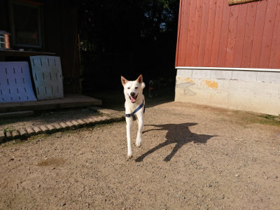 f:id:roukenhome-ann:20190730135149j:plain