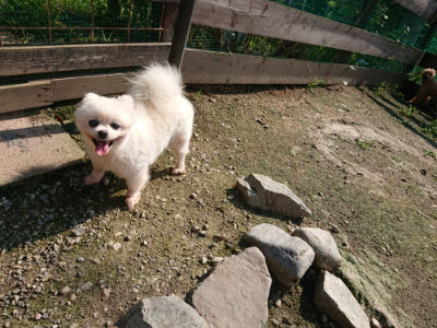 f:id:roukenhome-ann:20190730135156j:plain