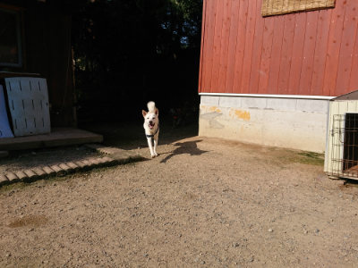 f:id:roukenhome-ann:20190730135215j:plain