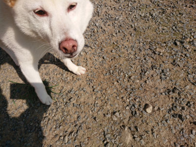 f:id:roukenhome-ann:20190730135236j:plain