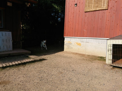 f:id:roukenhome-ann:20190730135242j:plain