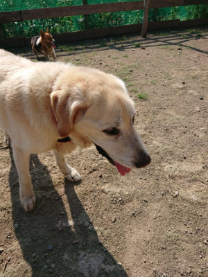 f:id:roukenhome-ann:20190730135251j:plain