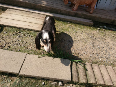 f:id:roukenhome-ann:20190730135259j:plain