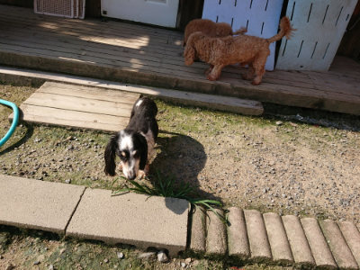f:id:roukenhome-ann:20190730135321j:plain