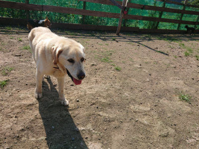 f:id:roukenhome-ann:20190730135340j:plain
