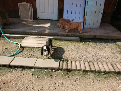 f:id:roukenhome-ann:20190730135353j:plain