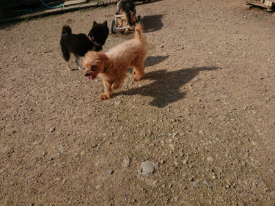 f:id:roukenhome-ann:20190730135358j:plain