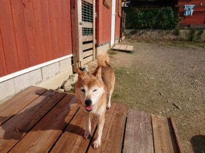 f:id:roukenhome-ann:20190730135404j:plain