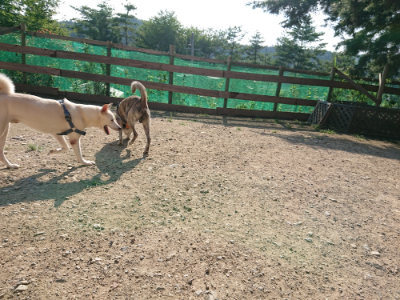 f:id:roukenhome-ann:20190730135436j:plain