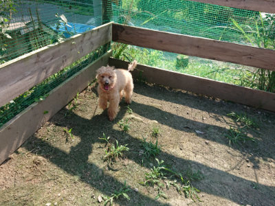 f:id:roukenhome-ann:20190730135444j:plain