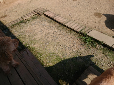 f:id:roukenhome-ann:20190730135451j:plain