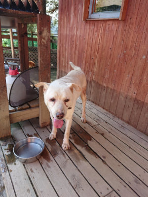 f:id:roukenhome-ann:20190730135618j:plain