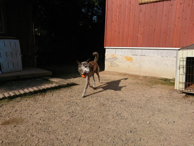 f:id:roukenhome-ann:20190730135642j:plain