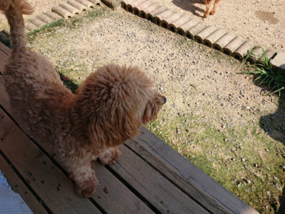 f:id:roukenhome-ann:20190730135649j:plain