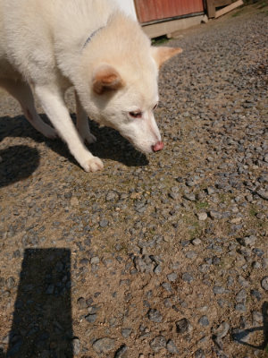 f:id:roukenhome-ann:20190730135654j:plain