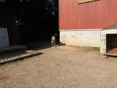 f:id:roukenhome-ann:20190730135701j:plain