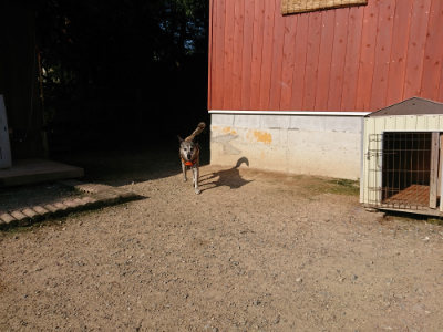 f:id:roukenhome-ann:20190730135705j:plain