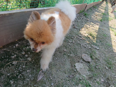 f:id:roukenhome-ann:20190730135710j:plain