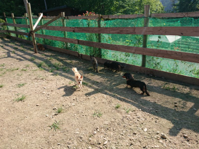 f:id:roukenhome-ann:20190730135721j:plain