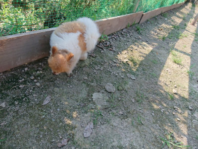 f:id:roukenhome-ann:20190730135736j:plain