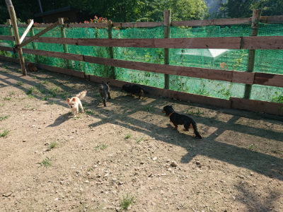 f:id:roukenhome-ann:20190730135742j:plain