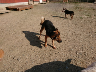 f:id:roukenhome-ann:20190730135747j:plain