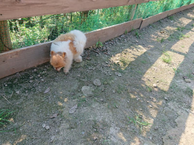 f:id:roukenhome-ann:20190730135754j:plain