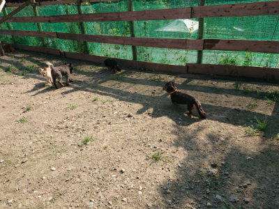 f:id:roukenhome-ann:20190730135800j:plain