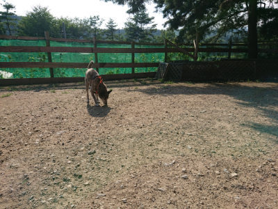 f:id:roukenhome-ann:20190730135814j:plain