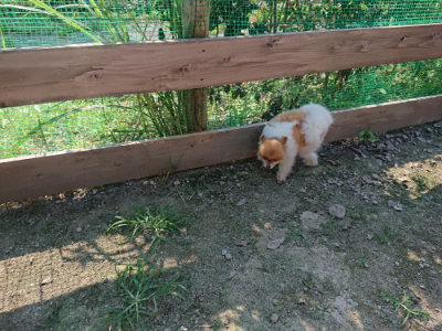 f:id:roukenhome-ann:20190730135820j:plain