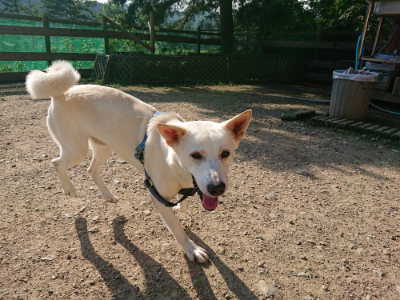 f:id:roukenhome-ann:20190730135840j:plain