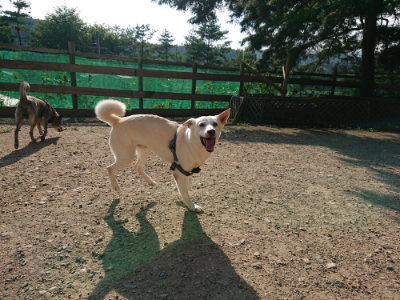 f:id:roukenhome-ann:20190730135908j:plain