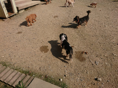 f:id:roukenhome-ann:20190730135955j:plain