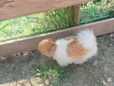 f:id:roukenhome-ann:20190730140037j:plain