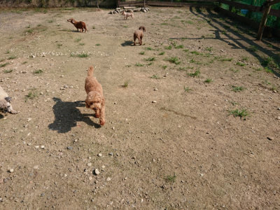 f:id:roukenhome-ann:20190730140113j:plain
