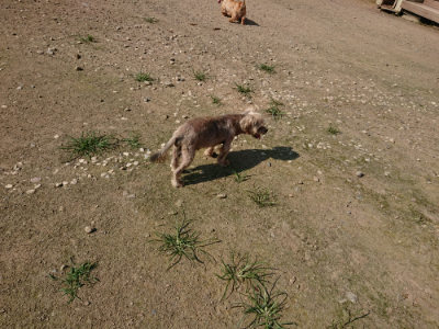 f:id:roukenhome-ann:20190730140223j:plain